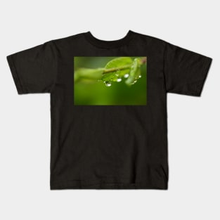 Raindrops on the leaves Kids T-Shirt